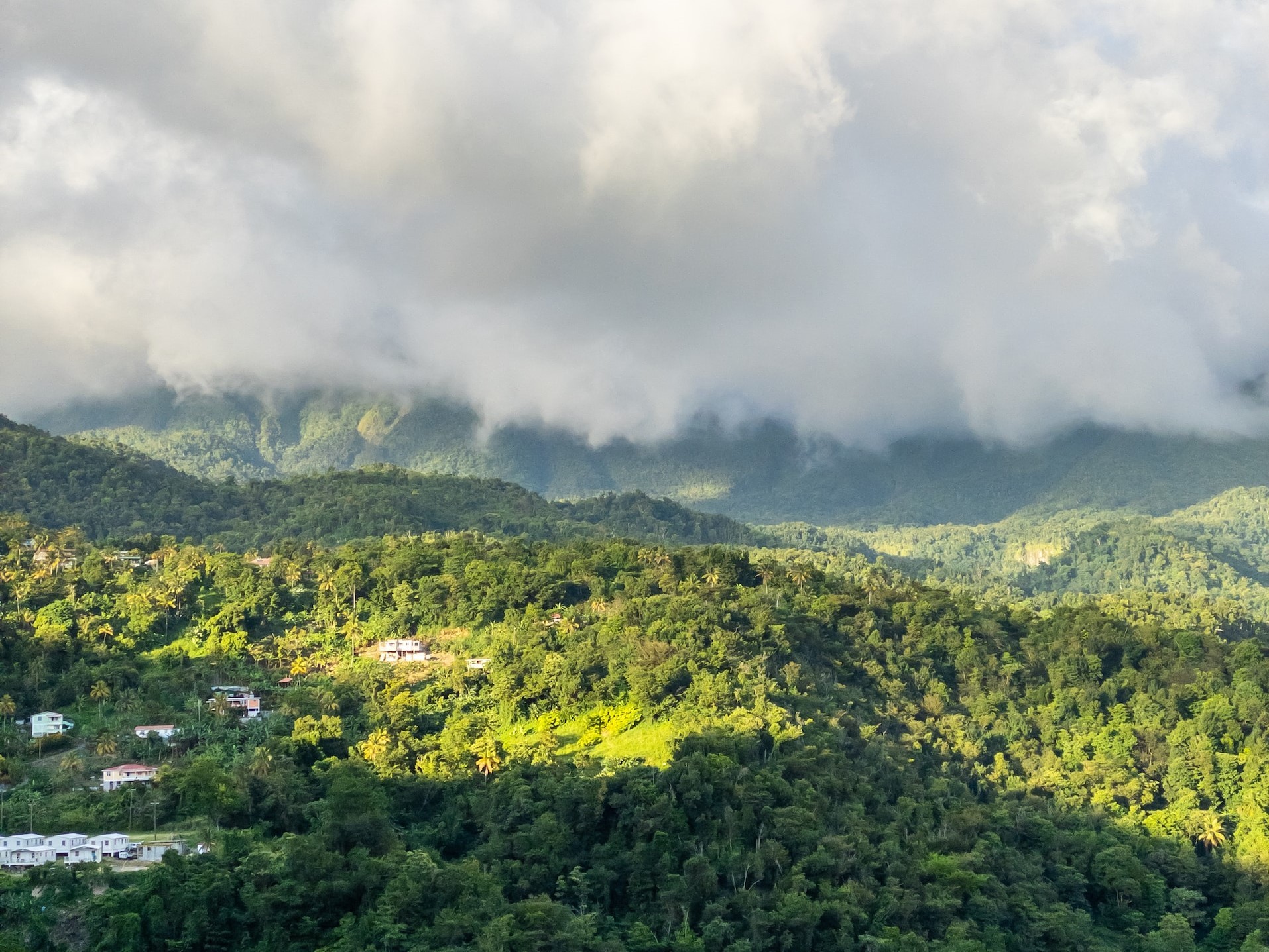 Calibishie â Nature and Nature Times Ten 
