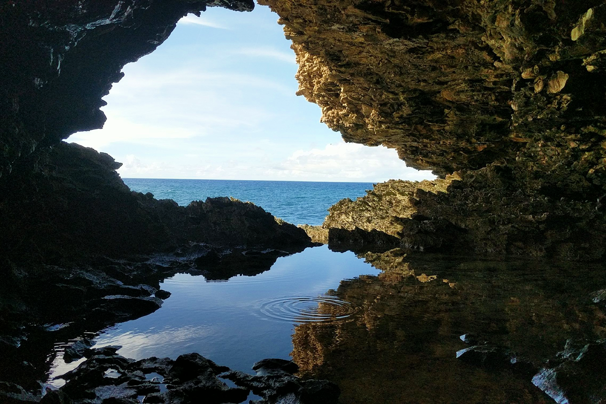 Explore Animal Flower Cave at St. Lucyâs Craggy Cliffs