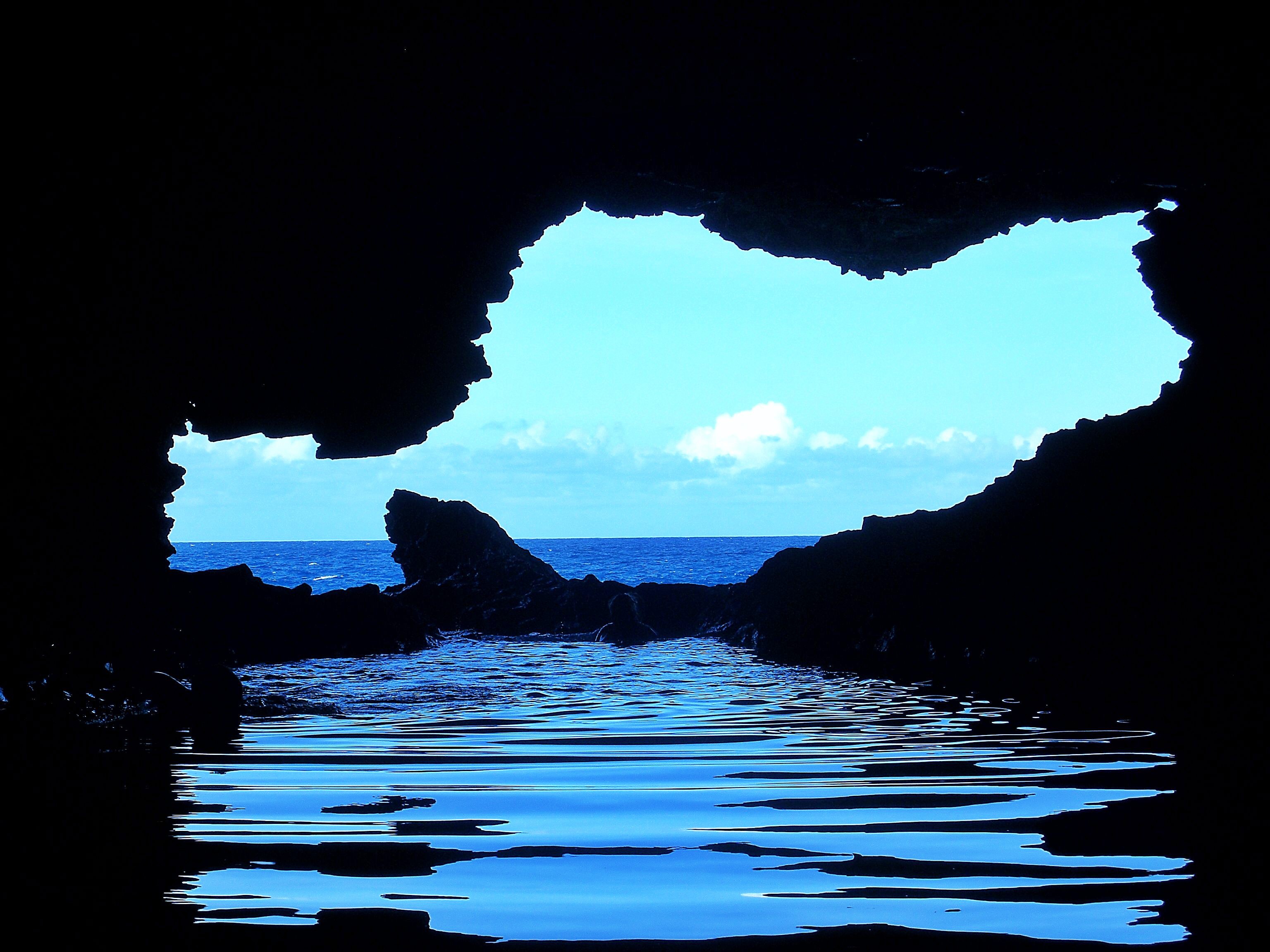 Animal Flower Cave â A Nature Loverâs Earthly Heaven