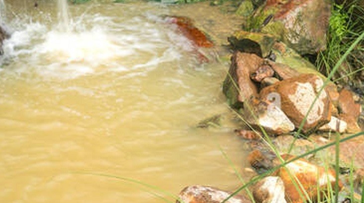 	Other Things to See in Dominica