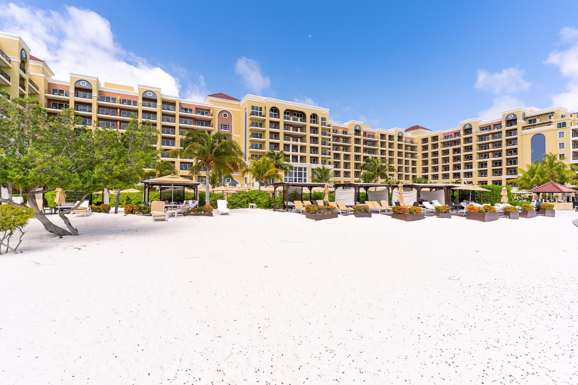 Noord â Quintessential Island Holiday Flair 