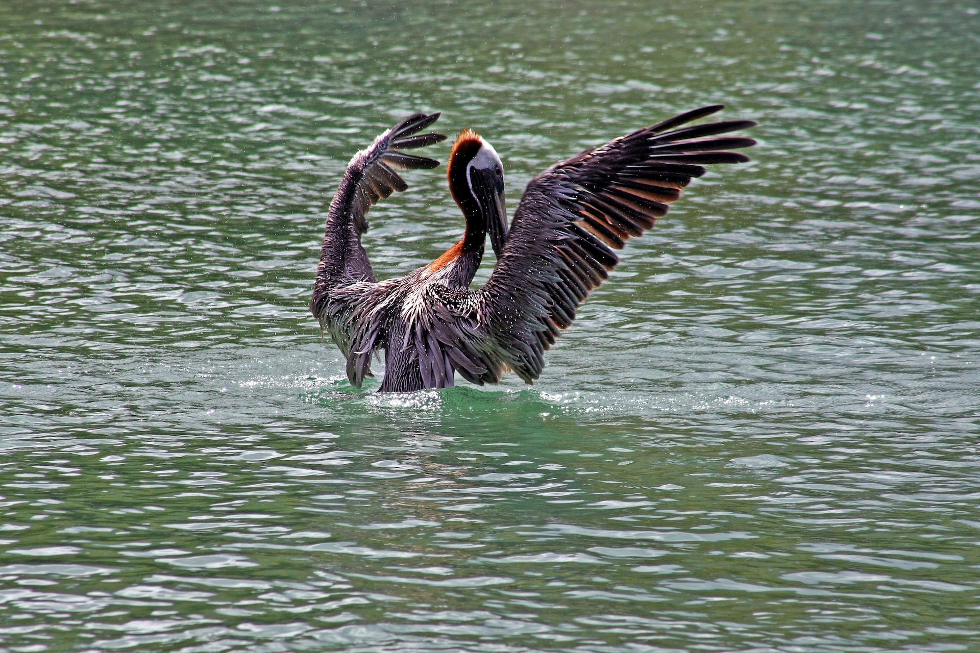 Fallen Jerusalem National Park â A Bird-Watcher's Heaven 
