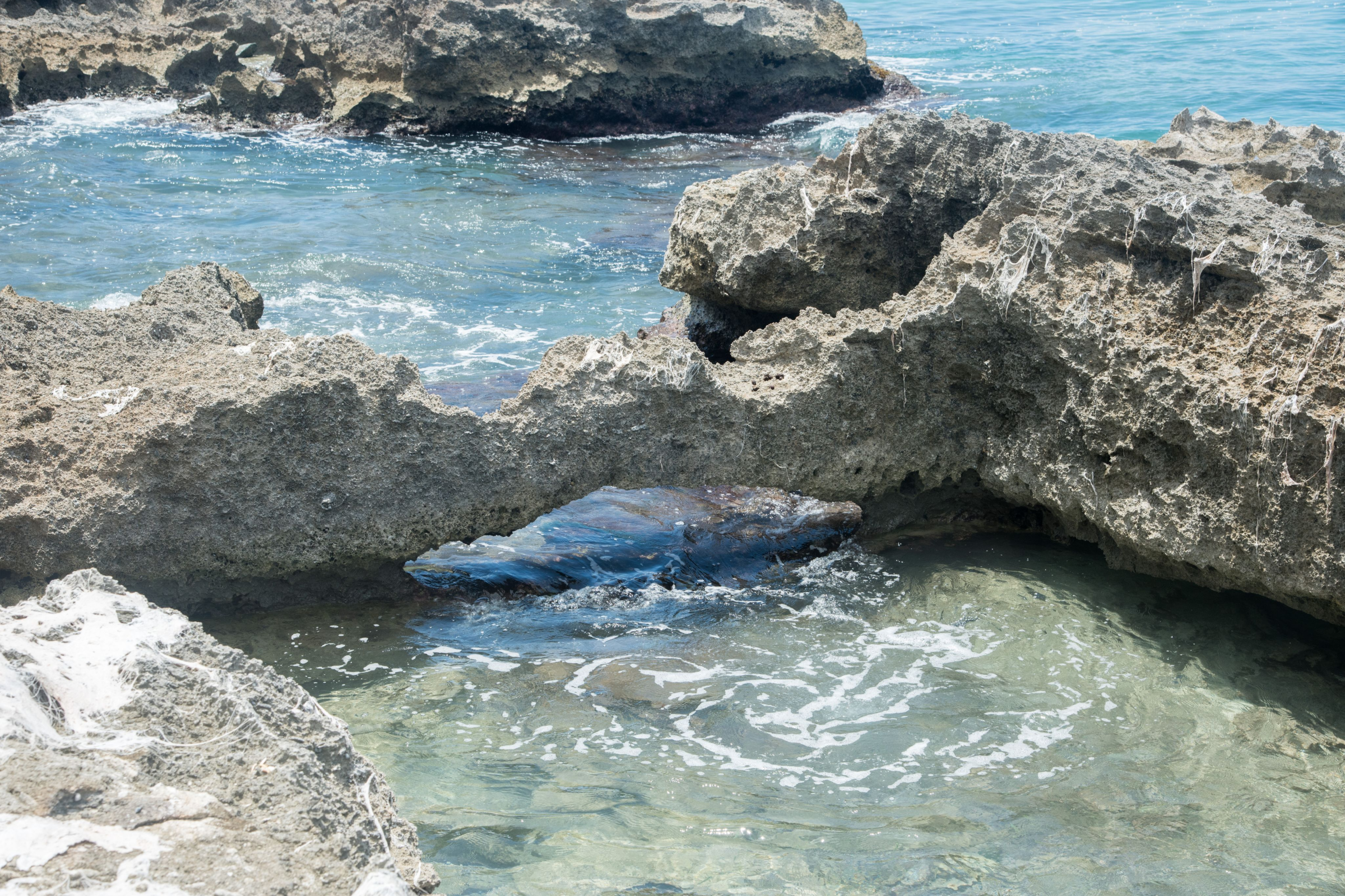 Annaly Bay Tide Pools â Unique and Exquisite