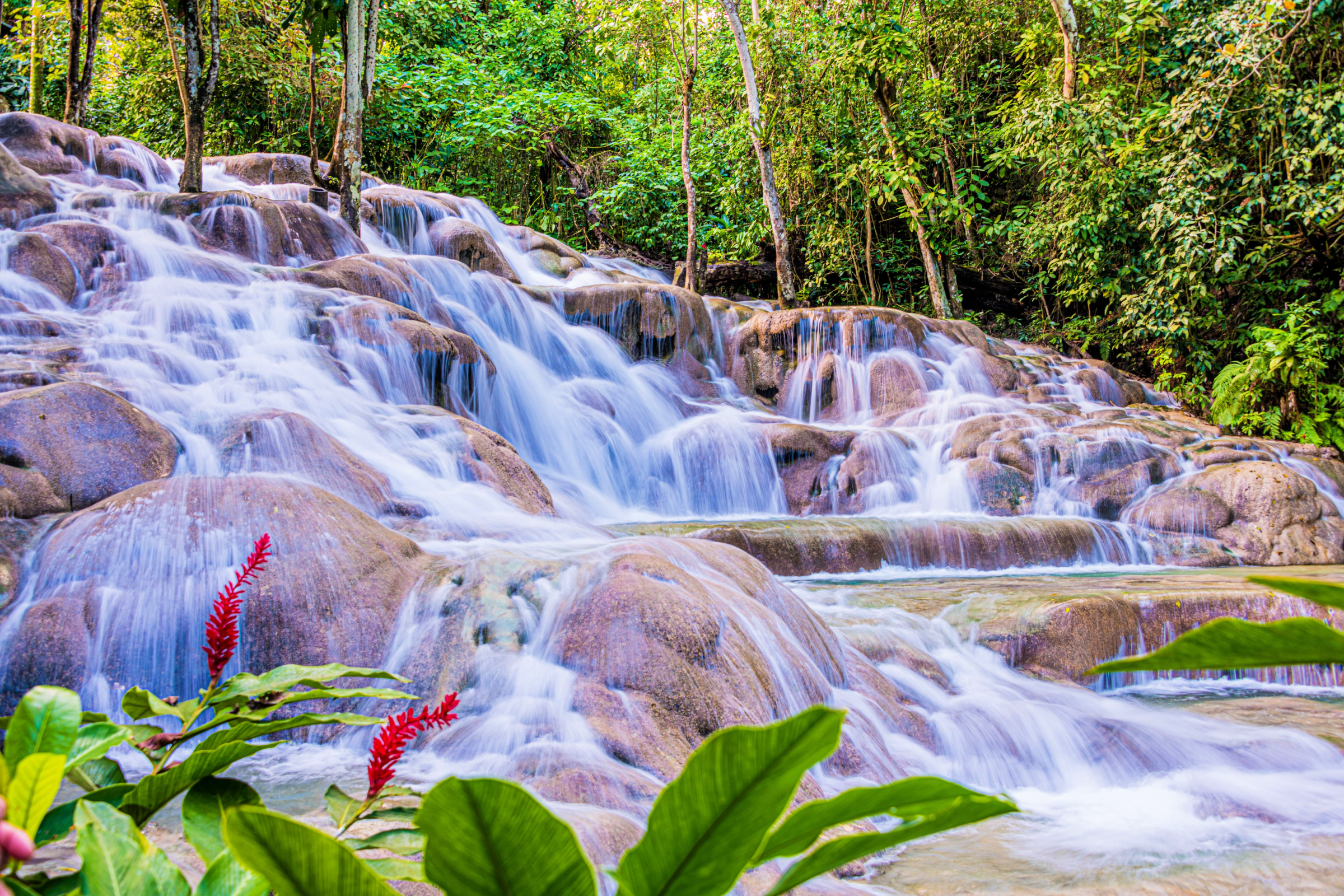 Trek to Dunnâs River Falls