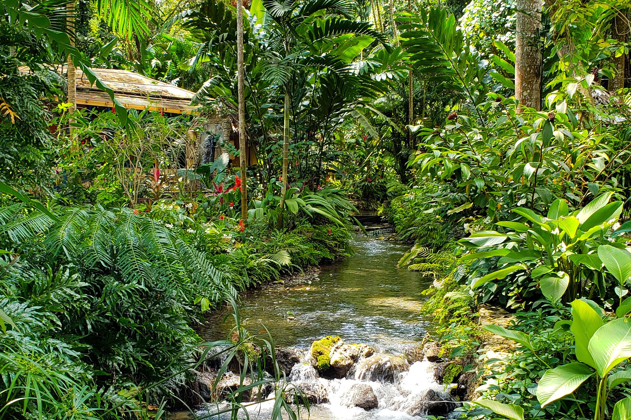 Konoko Falls â An all-in-one Attraction