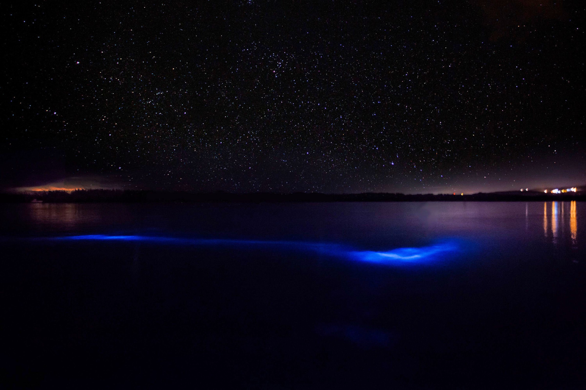 Luminous Lagoon â For a Super-rare Endeavour 