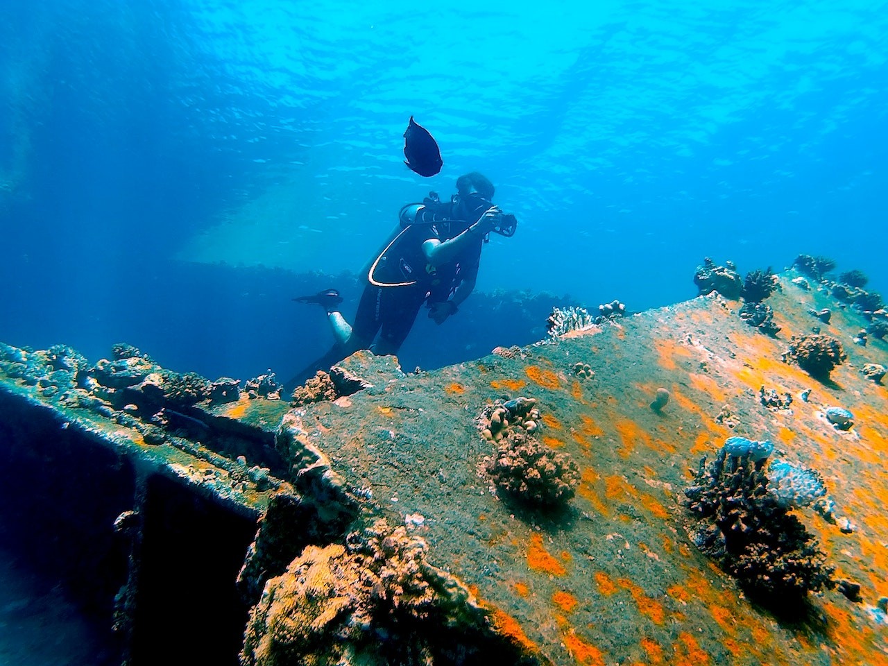 Rhone Marine Park â A Place Like No Other